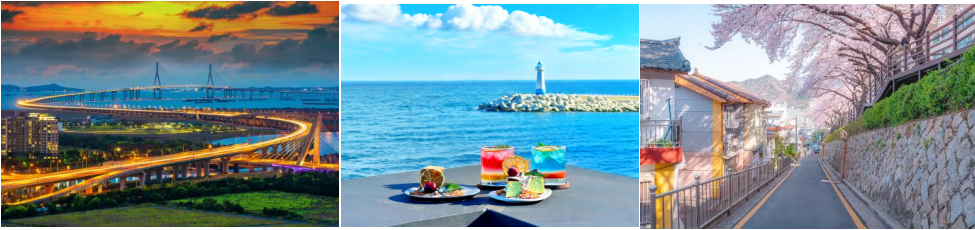 1769076377421621.png 7eb6b23d-21b7-4e8a-ab09-5e56c532e56c.png